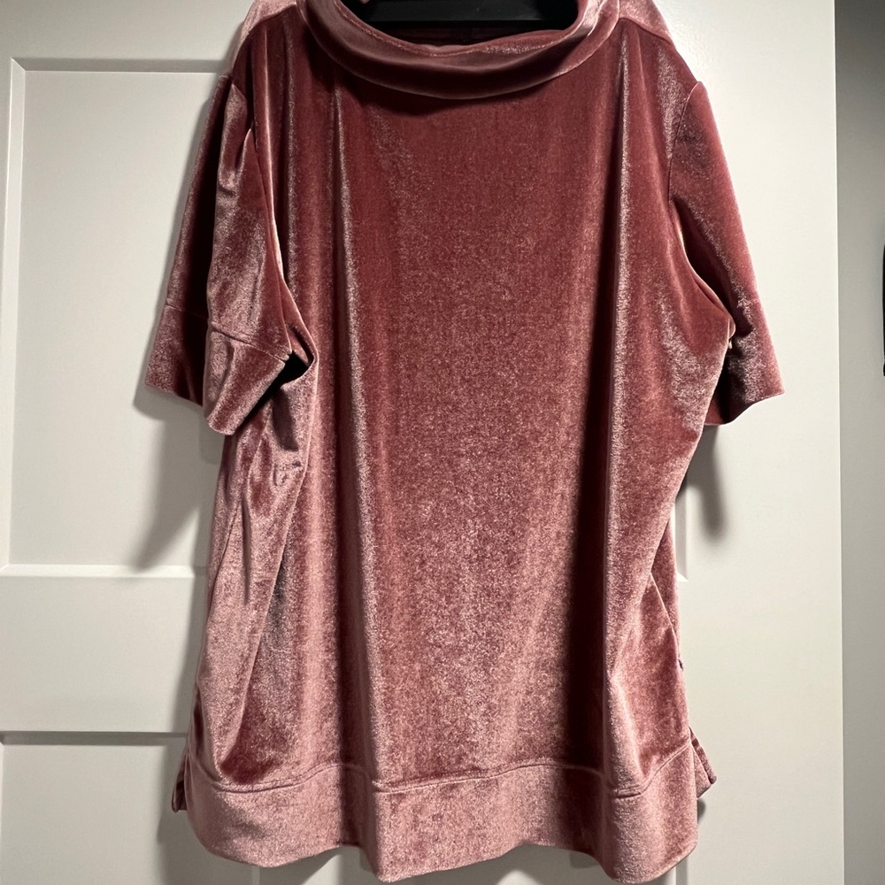 Anthropologie Velvet Rose Short Sleeve top